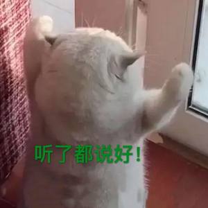 最后是你