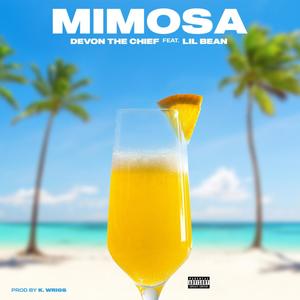 Mimosa(feat. Lil Bean) (Explicit)