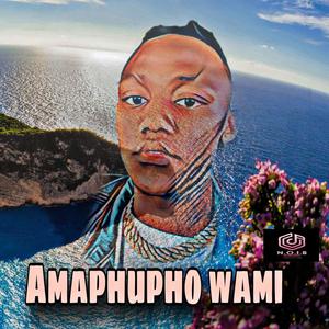 Amaphupho Wami