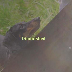 Diminished