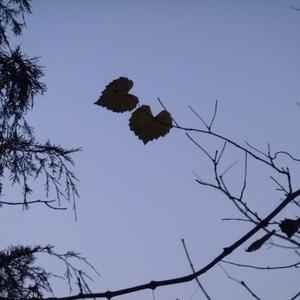 everytime that you here (Explicit)