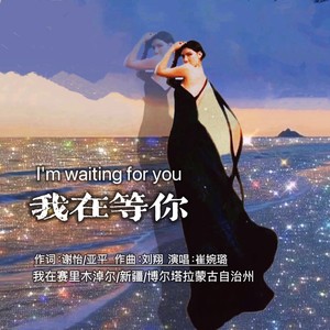 我在等你 (伴奏)
