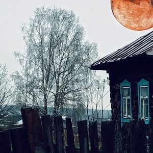 Грибница (Explicit)