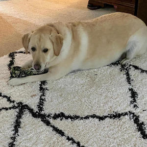 I'm Saucy (Explicit)