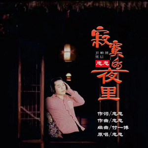 寂寞的夜里 (独唱版)