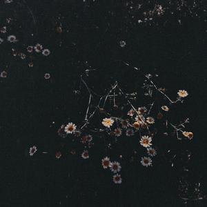 Wuknik Drei (feat. Lucie Graehl, Gabriel Rosenbach & Leon Maria Plecity)