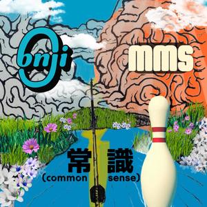 常識 (common sense)