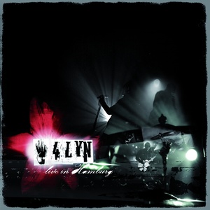 Not Like You (Live|Explicit)