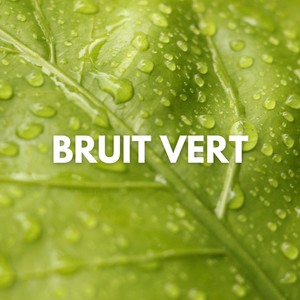 Bruit Vert