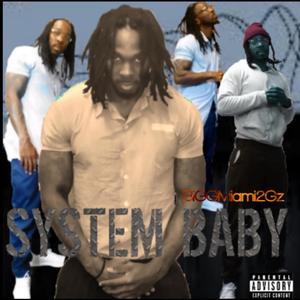 System Baby (feat. 48) [Explicit]