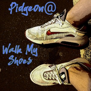 Walk My Shoes