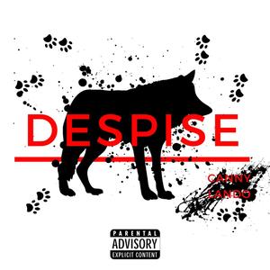 DESPISE (Explicit)