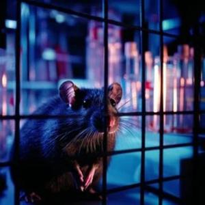 BUT IT'S OK (feat. Inconclusi) (Explicit)