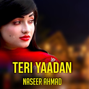 Teri Yaadan