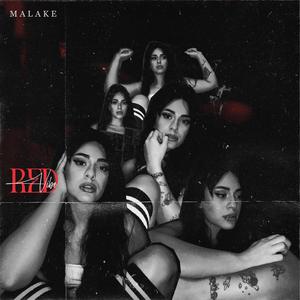 Red Vibe (feat. Hamid manfi) [Explicit]