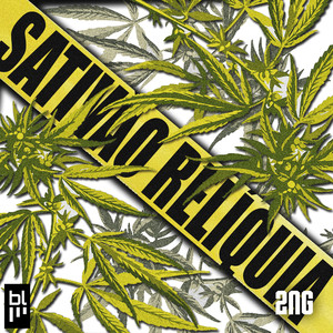 2NG - Sativão Relíquia (Explicit)