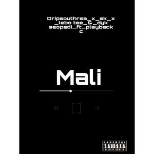 Mali (feat. Drip south rsa , sk x lebo tee & dyk seopedi)