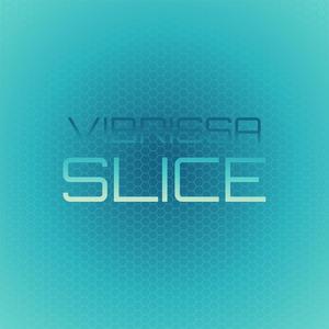 Vibrissa Slice