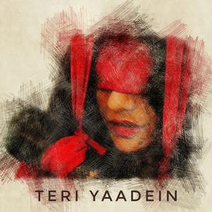 TERI YAADEIN (Bonus Track) (feat. Aditya Madhvani) [Explicit]