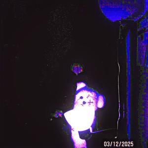 Kys (feat. Tombfell) (Explicit)
