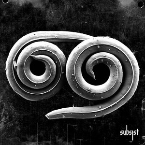 I Am a Falling Star (Original Mix)