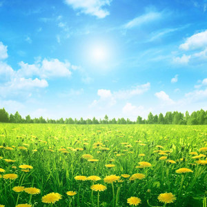 忘不你的爱但结局难更改