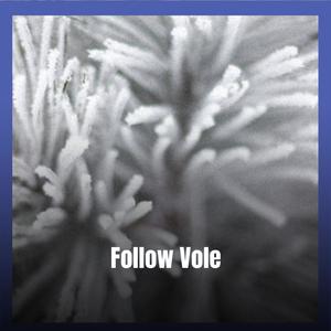 Follow Vole