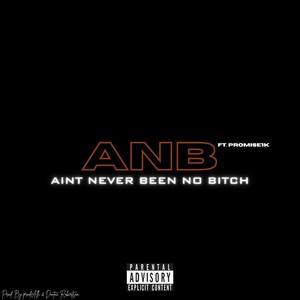 ANB (feat. Promise1k) (Explicit)