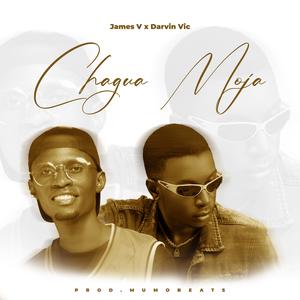 James V-Chagua Moja (feat. Darvin Vic)