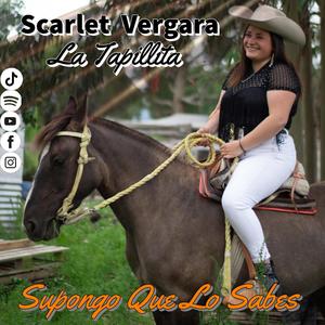 Supongo Que Lo Sabes (feat. Francisco Pino) (Explicit)