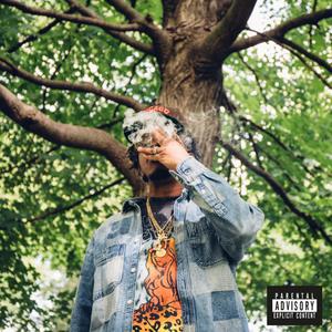 Expensive Ladders (feat. Raz Fresco) (Explicit)