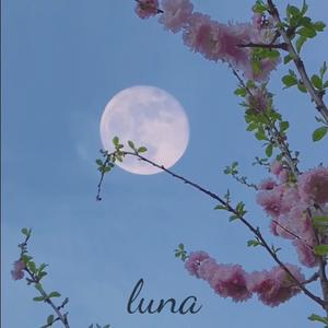 luna (Explicit)