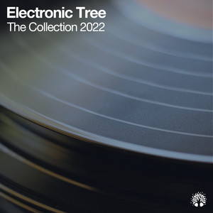 Levitation (E.F.G. Remix)