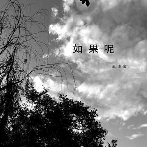 如果呢-王泽宝