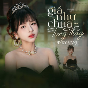Giá Như Chưa Từng Thấy (Beat)