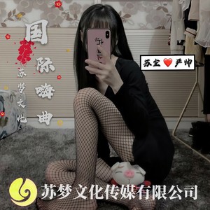 文博专用BGM