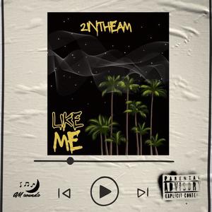 Like Me (Explicit)