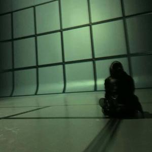 Raus aus dieser Welt