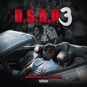 R.S.A.P 3 (Explicit)