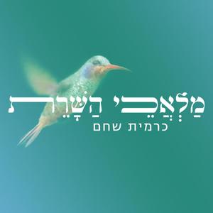 מלאכי השרת