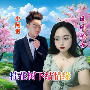 桂花树下结情缘 (伴奏)