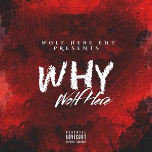 WHY (feat. TRIOOO & JAYKILLA) (Explicit)
