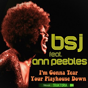 I'm Gonna Tear Your Playhouse Down (Original Mix)
