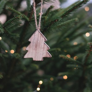 One Night Before Christmas