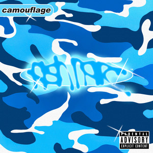 Camouflage (Explicit)