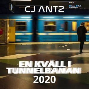 En Kväll I Tunnelbanan 2020