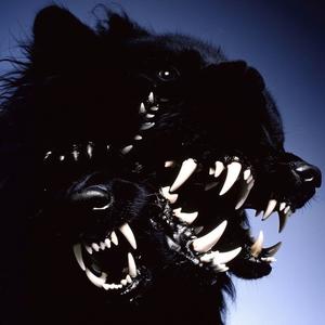 Ringin w Sympathi (Explicit)