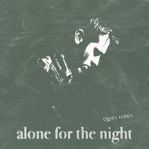 alone for the night (EJGSTY Remix)