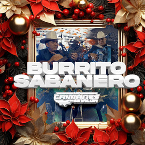 Burrito Sabanero (En Vivo)