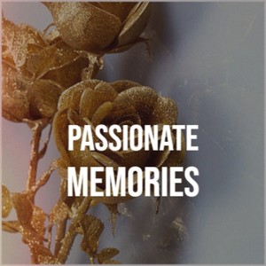 Passionate Memories